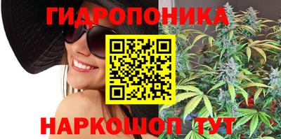 шишки Белореченск