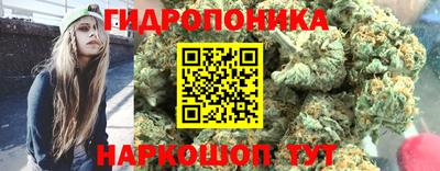 шишки Белореченск